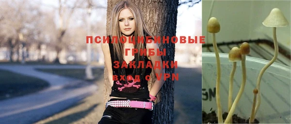 мяу мяу кристалл Каменка