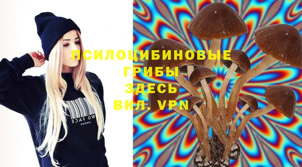 метадон Каменногорск