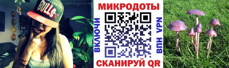 Псилоцибиновые грибы Psilocybine cubensis  Кондрово 